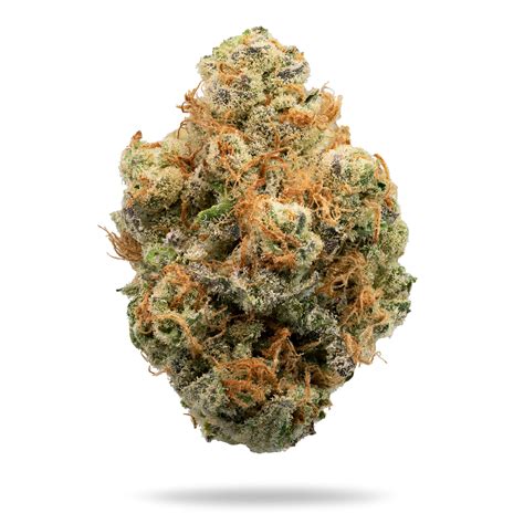 The average THC content is 23, although in some cases it can be a bit lower, around 21. . Forbidden melonz strain